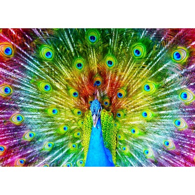 Puzzle 1000 piese Enjoy - Colorful Peacock + folii pentru... 2