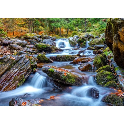 Puzzle 1000 piese Enjoy - Forest Stream in Autumn + folii... 2