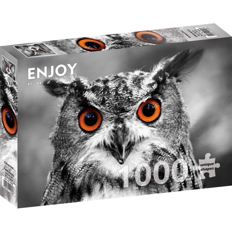 Puzzle 1000 piese Enjoy - Curious Owl + folii pentru lipit puzzle (Enjoy-5626)