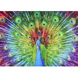 Puzzle 1000 piese Enjoy - Colorful Peacock (Enjoy-1251)