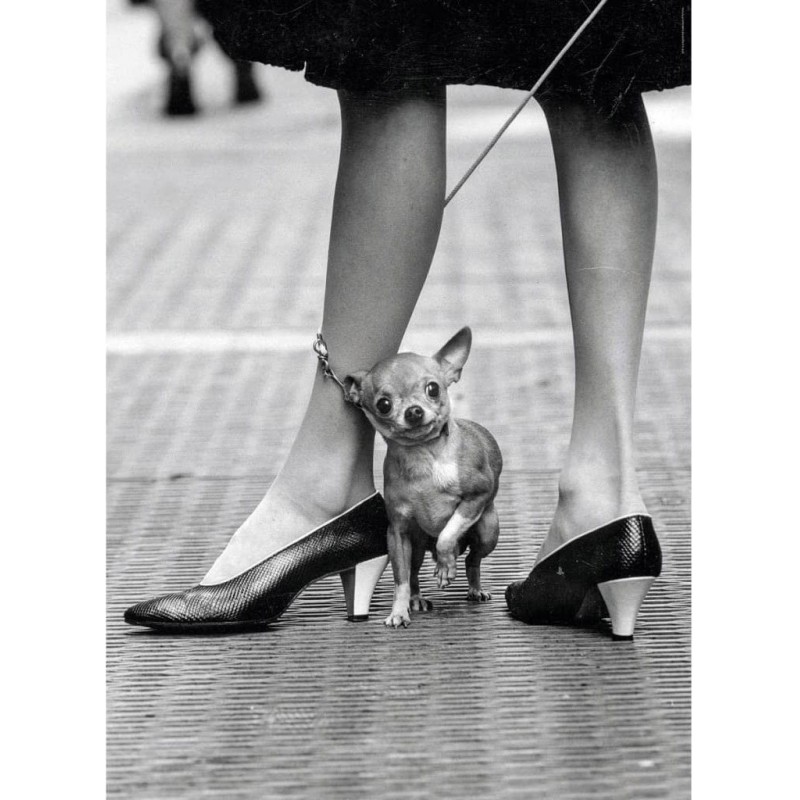 Puzzle 1000 piese Clementoni - Life...