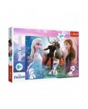 Puzzle 300 piese Trefl - Frozen (Trefl-23006)