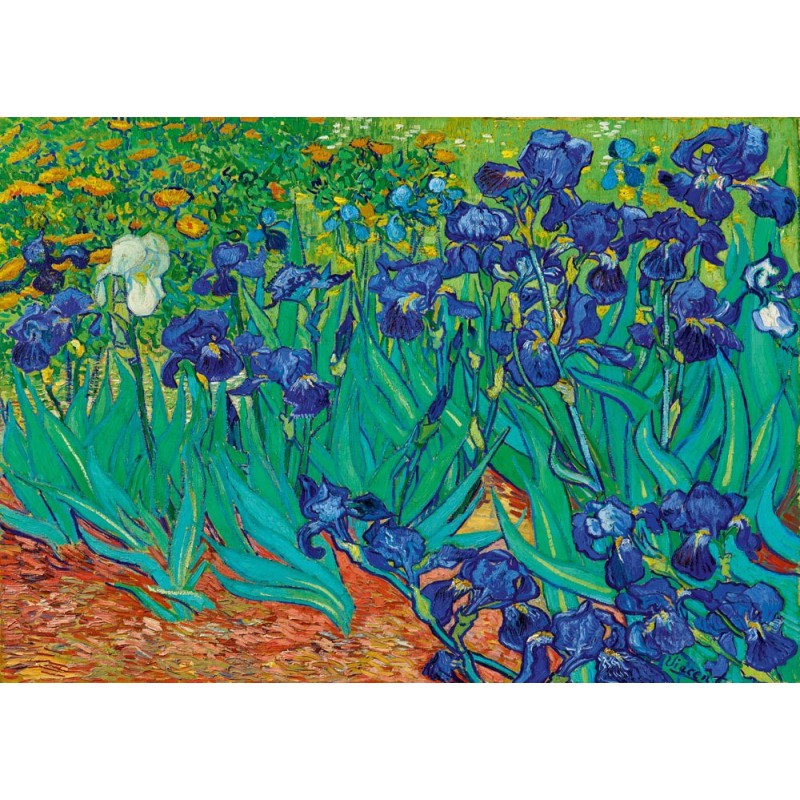 Puzzle 1000 piese Bluebird Puzzle - Vincent Van Gogh: Irises, 1889 (Art-by-Bluebird-F-60208)