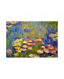 Puzzle 1000 piese Bluebird Puzzle - Claude Monet: Nympheas (Art-by-Bluebird-F-60240)