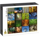 Puzzle 2000 piese Grafika - Collage - Trees (Grafika-F-30066)