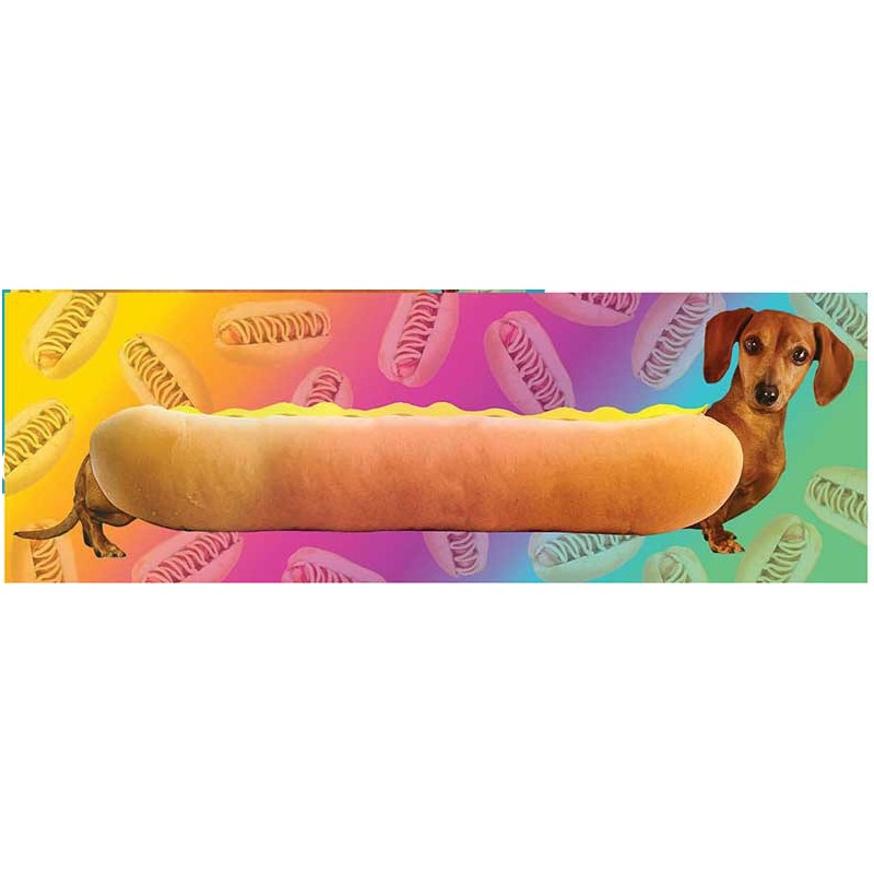 Puzzle 1000 piese panoramic Aquarius - Wiener Dog (Aquarius-Puzzle-73053)