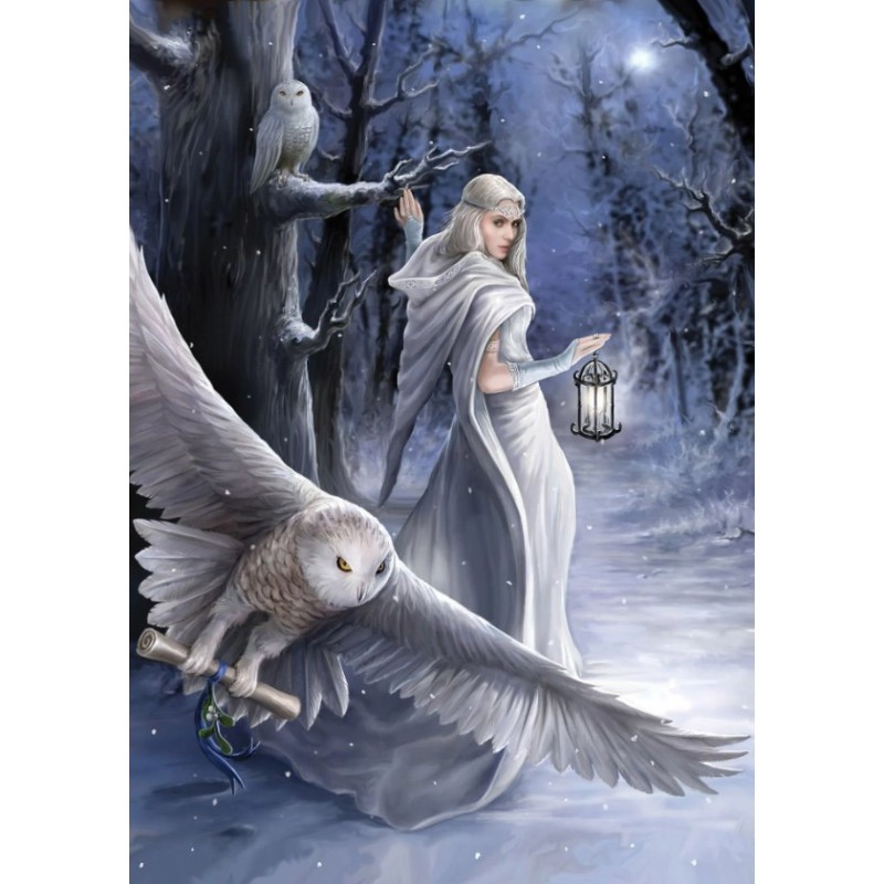 Puzzle 1000 piese Art Puzzle - Anne Stokes: Midnight Messenger (Art-Puzzle-5229)