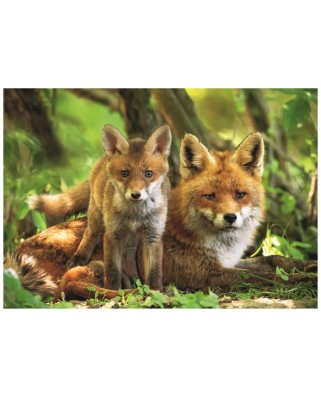 Puzzle 300 piese XXL Dino - Fox and Cub (Dino-47229)