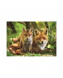 Puzzle 300 piese XXL Dino - Fox and Cub (Dino-47229)