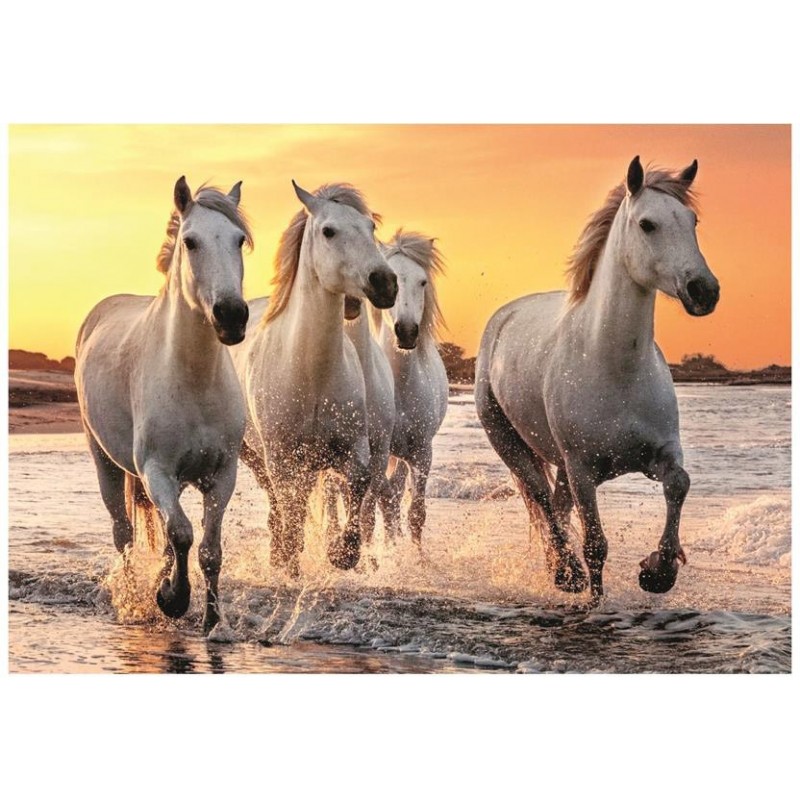 Puzzle 500 piese Dino - Horses on the...