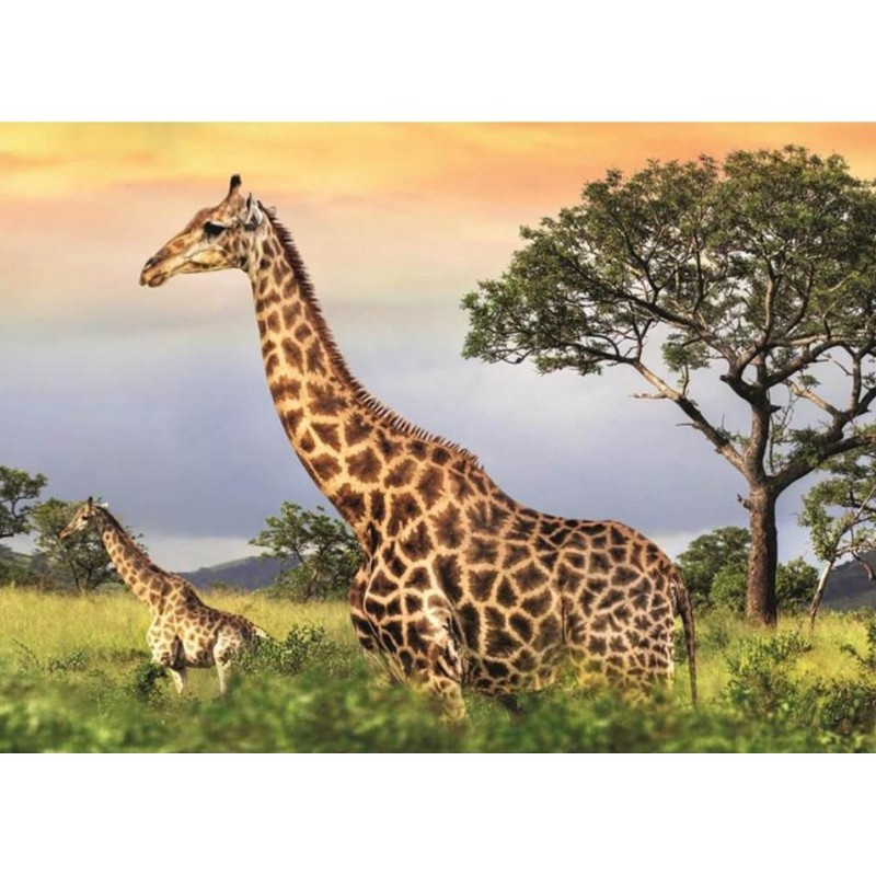 Puzzle 1000 piese Dino - Giraffe...