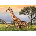 Puzzle 1000 piese Dino - Giraffe Family (Dino-53294)