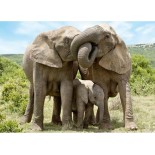 Puzzle 1000 piese Dino - Elephant Family (Dino-53295)