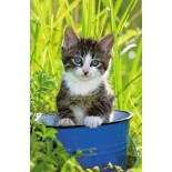 Puzzle mini Ravensburger -Animale, 54 Piese (09430)