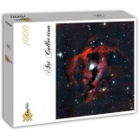 Puzzle 1000 piese dificile Grafika - Gros plan de la tete de la Nebuleuse de la Mouette (Grafika-T-02283)