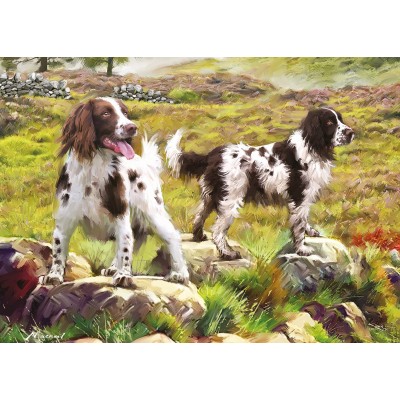 Puzzle 1000 piese - Spaniel on Moor...
