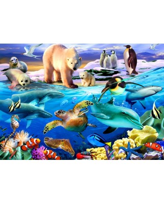 Puzzle 204 piese Bluebird Puzzle - Oceans of Life (Bluebird-Puzzle-F-90077)