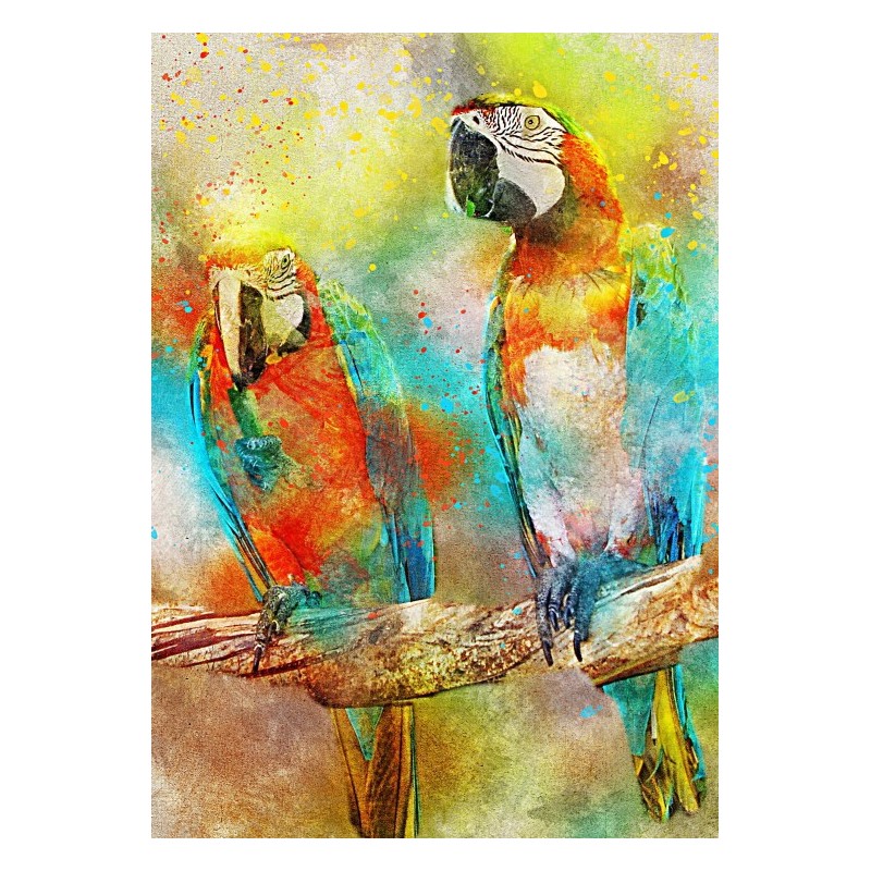 Puzzle 1000 piese Bluebird Puzzle - Parrots (Bluebird-Puzzle-F-90136)