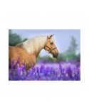 Puzzle 300 piese Bluebird Puzzle - Cheval dans un Champ de Lupin (Bluebird-Puzzle-F-90281)