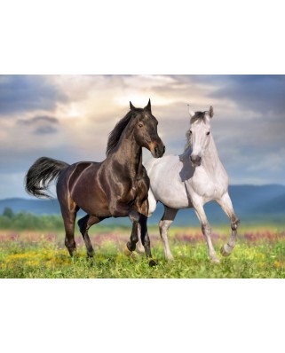 Puzzle 500 piese Bluebird Puzzle - Couple de Chevaux (Bluebird-Puzzle-F-90282)