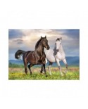 Puzzle 500 piese Bluebird Puzzle - Couple de Chevaux (Bluebird-Puzzle-F-90282)