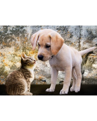 Puzzle 500 piese Bluebird Puzzle - Kitten and Puppy (Bluebird-Puzzle-F-90335)