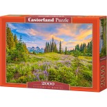 Puzzle 2000 piese Castorland - Blossoms of Morning (Castorland-200863)