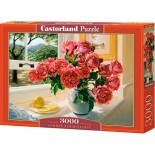 Puzzle 3000 piese mini Castorland - Summer Rescence (Castorland-300631)