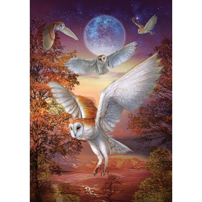 Puzzle 1000 piese Art Puzzle - Moonlight Owls...