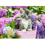 Puzzle 200 piese Castorland - Kitten in Basket (Castorland-222209)