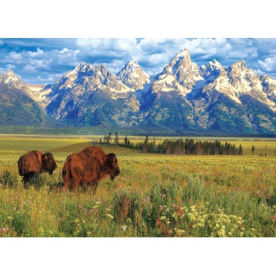Puzzle 1000 piese Eurographics - Grand Teton National...