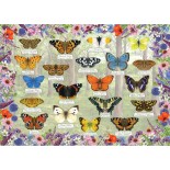 Puzzle 1000 piese Gibsons - Beautiful Butterflies (Gibsons-G6366)