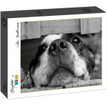 Puzzle 204 piese Grafika Kids - Dog (Grafika-F-31887)