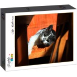 Puzzle 204 piese Grafika Kids - Kitten (Grafika-F-31888)