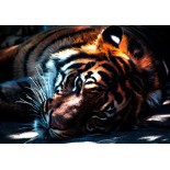 Puzzle 204 piese Grafika Kids - Tiger (Grafika-F-31918)