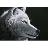 Puzzle 1000 piese Grafika - Schim Schimmel:Wolf Light (Grafika-F-33081)