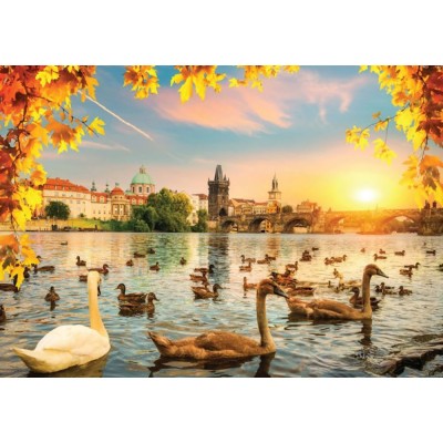 Puzzle 1000 piese Magnolia - Swans near Charles Bridge...