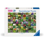 Puzzle 1000 piese Ravensburger - 99 Herbs and Spices (Ravensburger-00073)