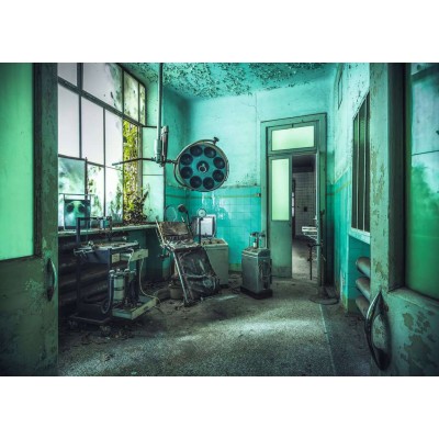 Puzzle 1000 piese Ravensburger - Lost Places - The...