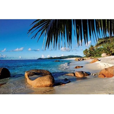 Puzzle 1000 piese Ravensburger - Behind the Palm Trees...