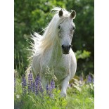 Puzzle 100 piese XXL Ravensburger - White Horse (Ravensburger-12927)