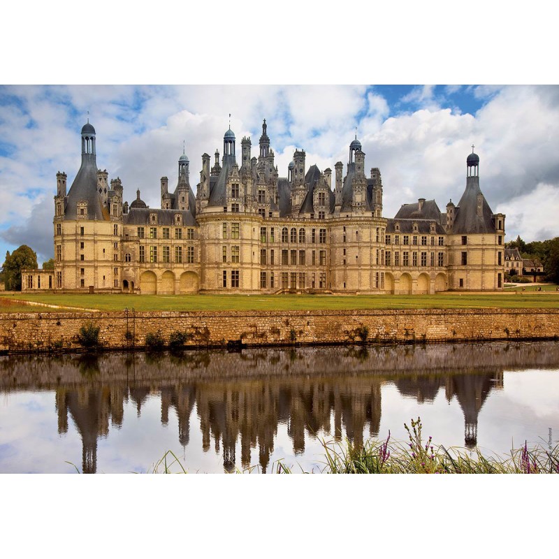 Puzzle 1000 piese D-Toys - Chambord...