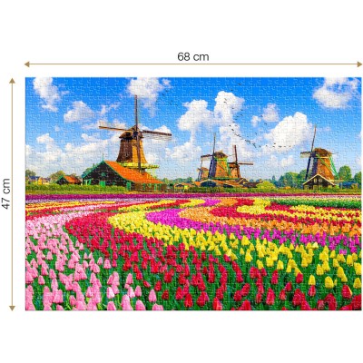 Puzzle 1000 piese Roovi - Dutch Windmills, Netherlands...