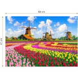 Puzzle 1000 piese Roovi - Dutch Windmills, Netherlands (Roovi-79916)