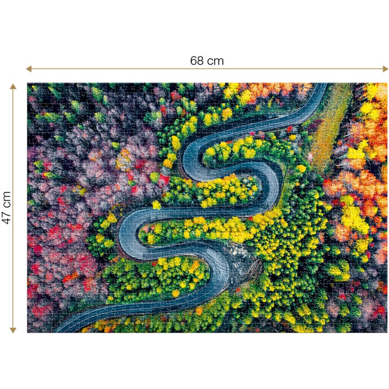 Puzzle 1000 piese Roovi - Cheia Pass...