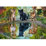 Puzzle 1000 piese Schmidt - Dream Big! (Schmidt-57392)