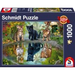 Puzzle 1000 piese Schmidt - Dream Big! (Schmidt-57392)