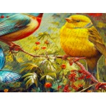 Puzzle 1000 piese ENJOY - Chirps and Flutters (Enjoy-2272)