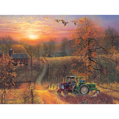 Puzzle 275 piese XXL Cobble Hill - Taking a Break (Cobble-Hill-48003) 2