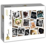 Puzzle 2000 piese Grafika - Chiens (Grafika-T-00378)